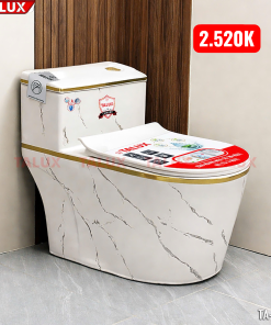 BỒN CẦU TA-876V